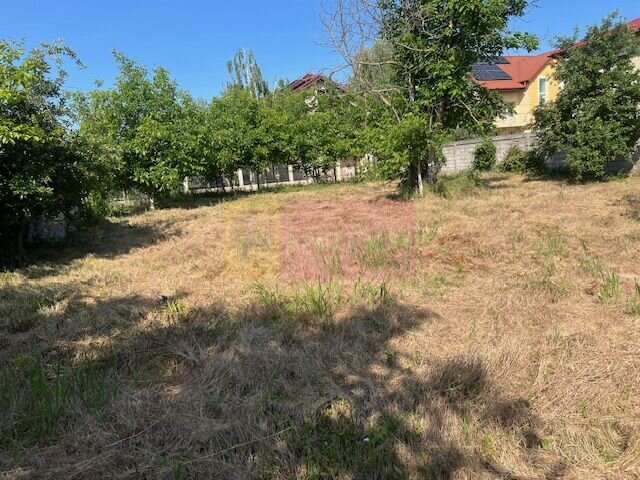 Teren Clinceni- Putul Olteni- Crizantemelor.