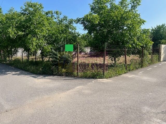 Teren Clinceni- Putul Olteni- Crizantemelor.