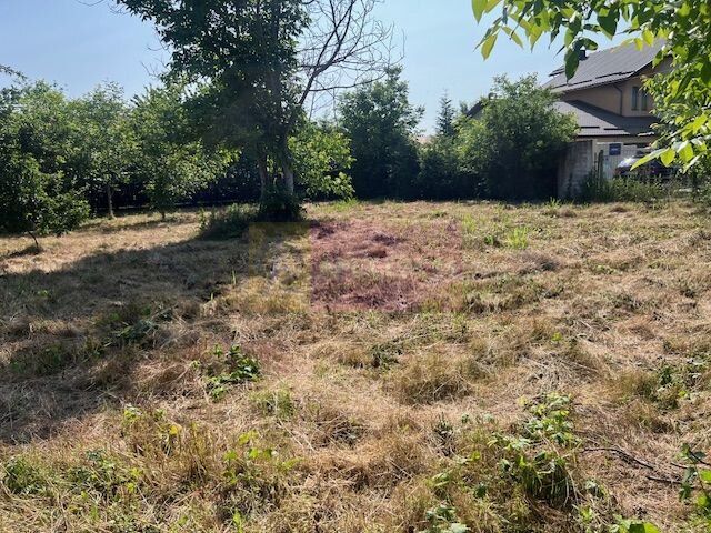 Teren Clinceni- Putul Olteni- Crizantemelor.