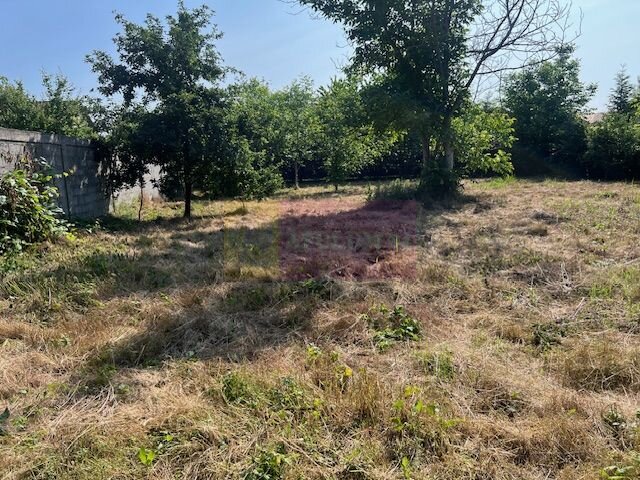 Teren Clinceni- Putul Olteni- Crizantemelor.