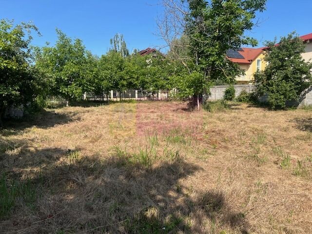 Teren Clinceni- Putul Olteni- Crizantemelor.